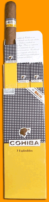 Esplendidos Pack Of 3