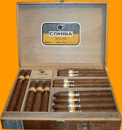 Cigars In Kelowna: Top 5 Cigars From Cuba To NicaraguaHavana Room