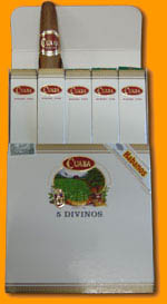 Divinos Cp Pack Of 5