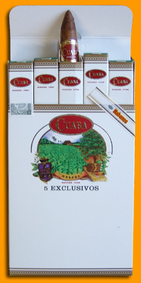 Exclusivos Pack Of 5