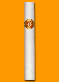Cosacos