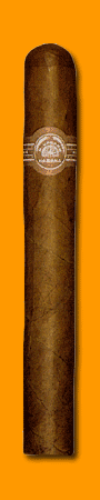 Petit Coronas