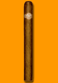 Sir Winston Cabinet