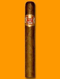 Short Hoyo Coronas
