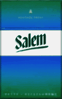 Salem Original Menthol Cigarette Pack